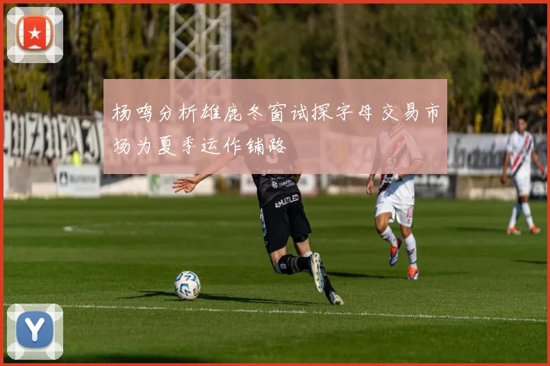 杨鸣分析雄鹿冬窗试探字母交易市场为夏季运作铺路